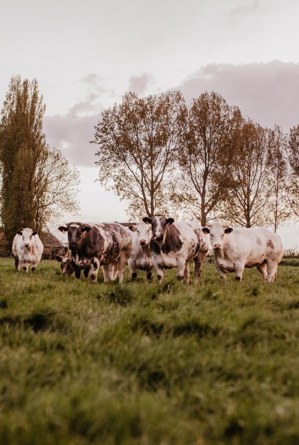 Huisje Nummer Tien Sint-Laureins Luaran gambar