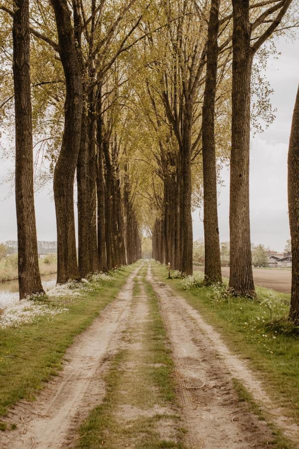 Huisje Nummer Tien Sint-Laureins Luaran gambar
